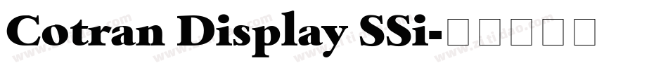 Cotran Display SSi字体转换